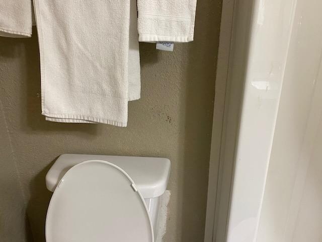 Feces on the wall above  the toilet.