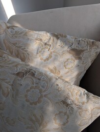 torn sofa pillows