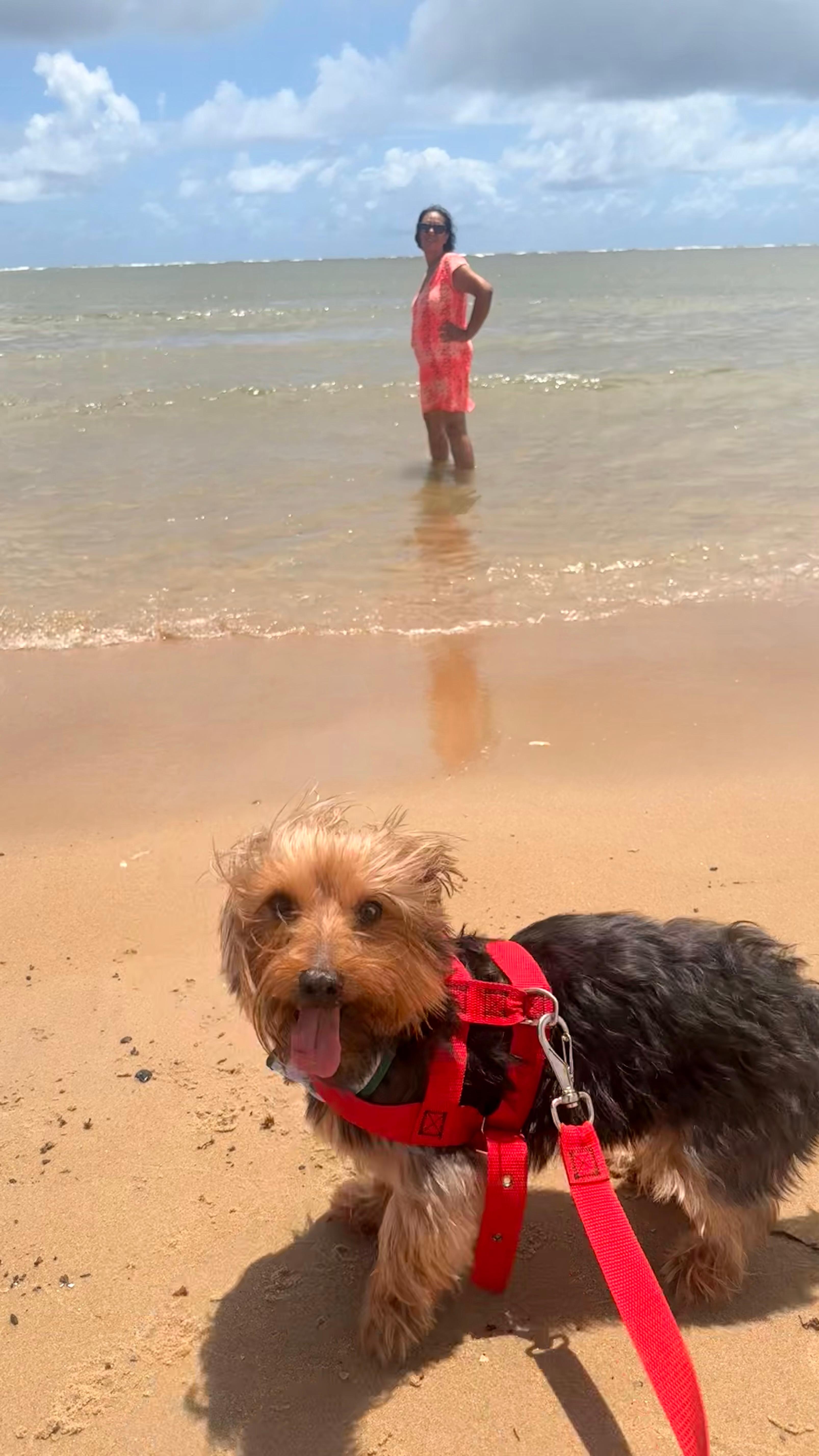 Praia de Barra de jangada.