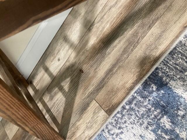 Dead bugs and crumbs all around the house in plain sight. 
