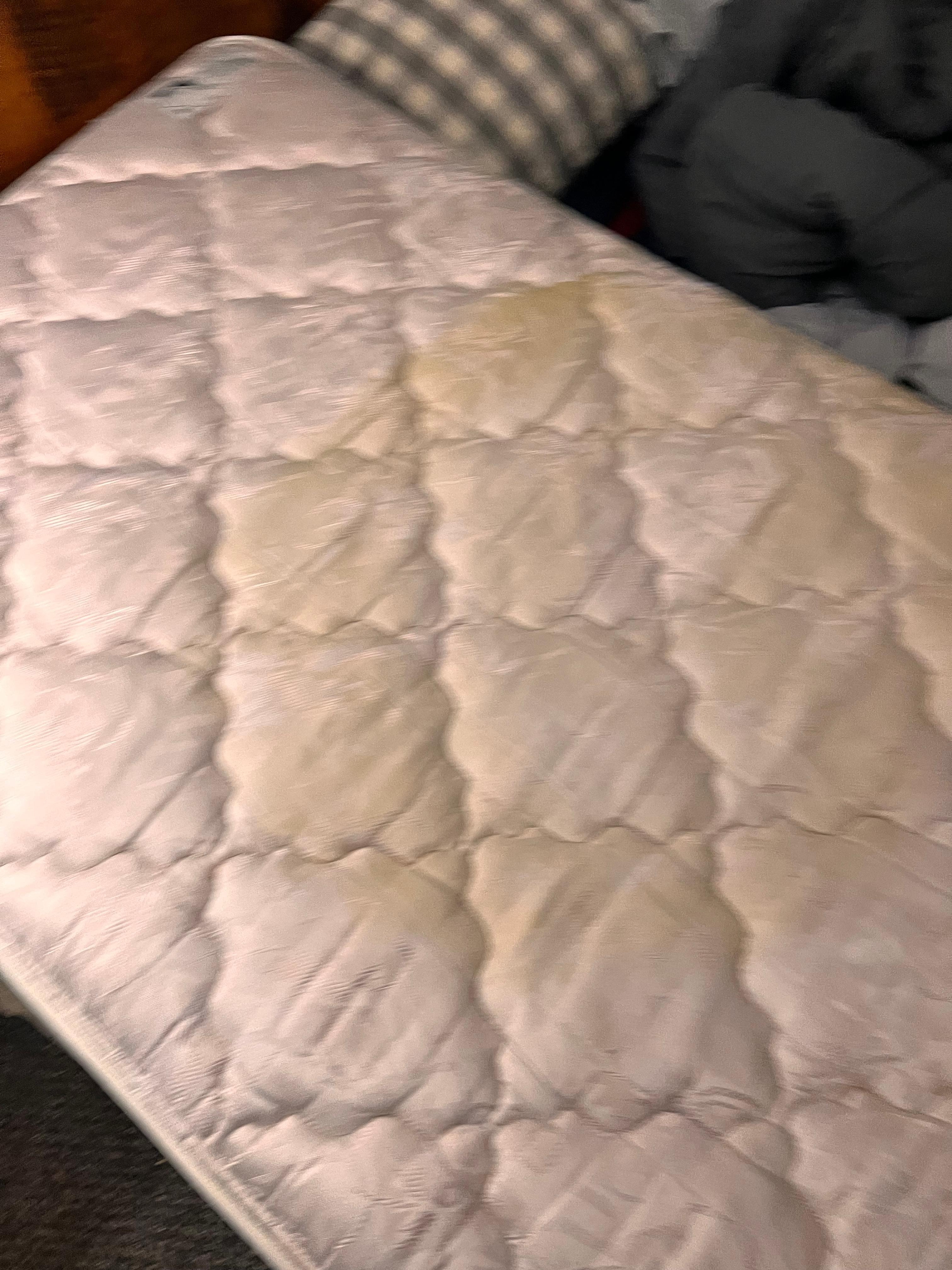 Possible urine stain on twin bed mattress. 