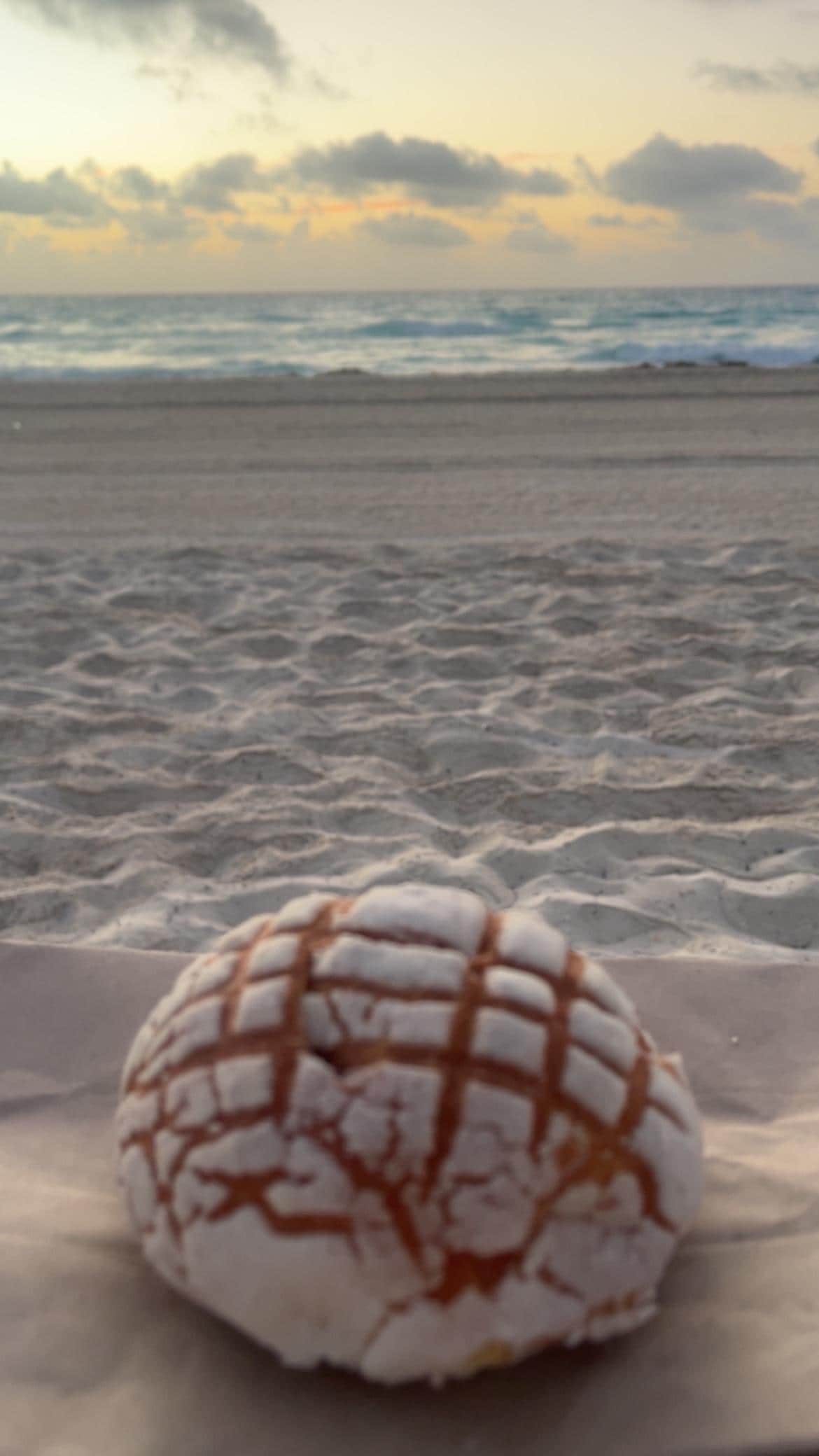 24/7 cafe has the perfect pastries for watching the sunrise and as an afternoon snack