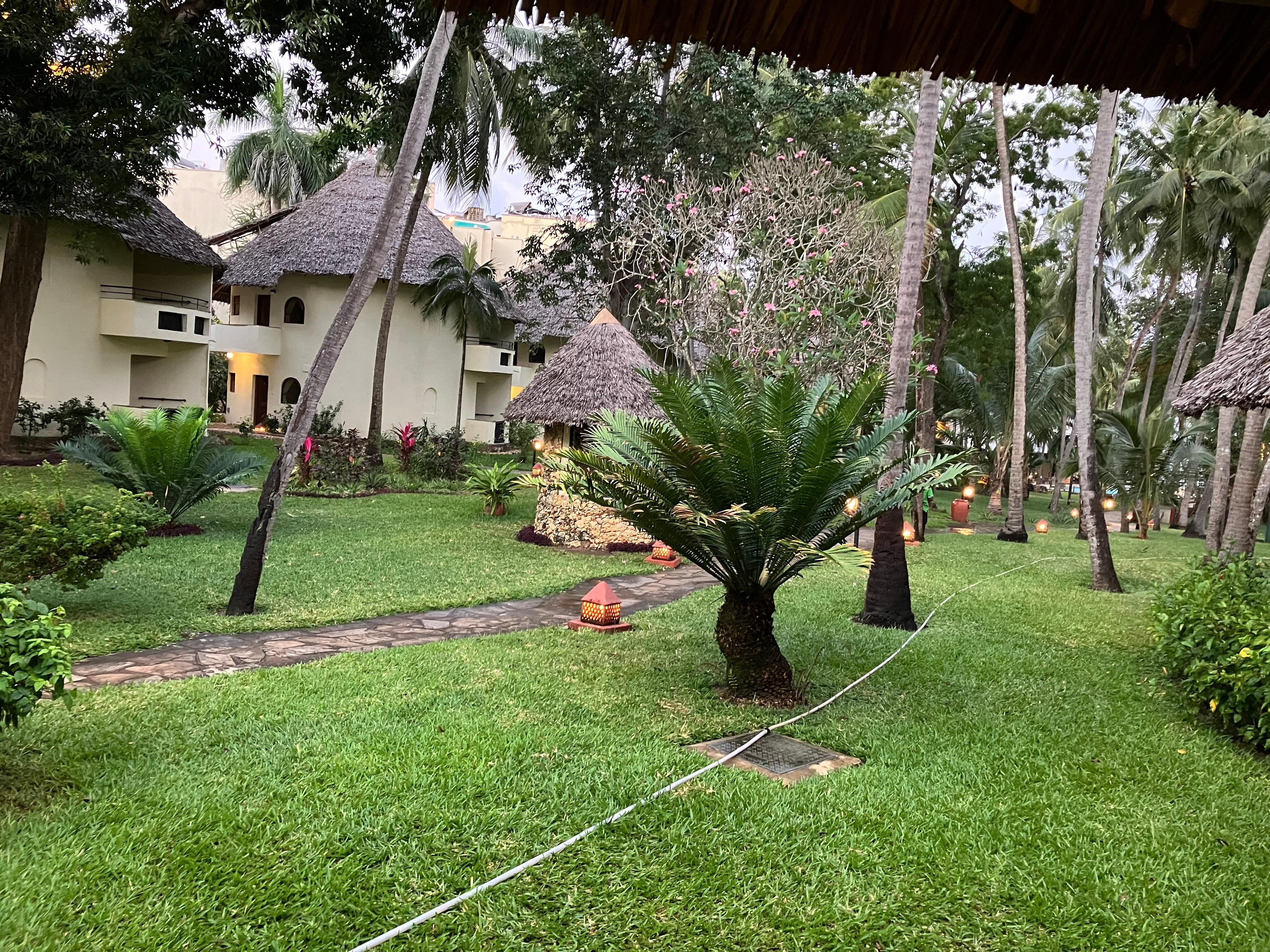 View from the terrasse of a room
