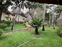 View from the terrasse of a room