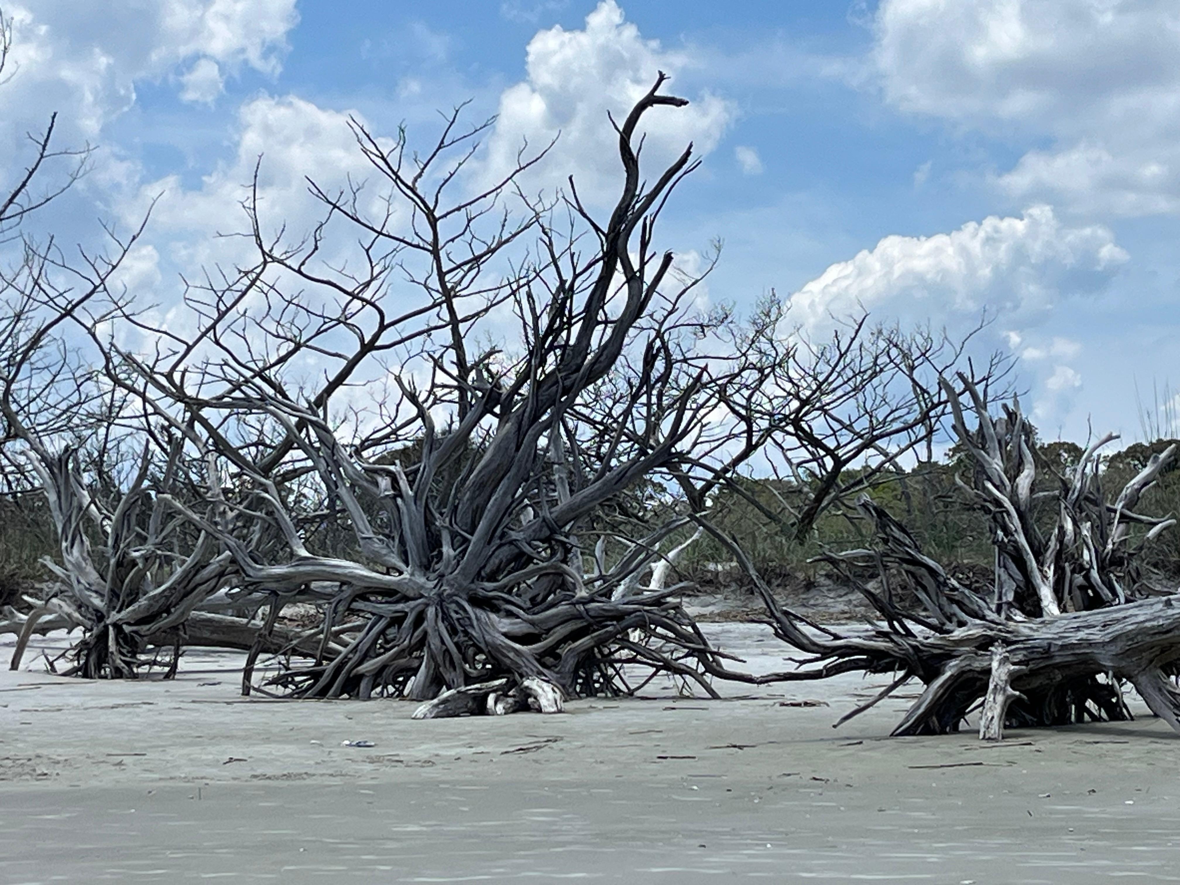 Jekyll island