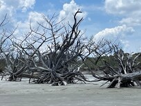 Jekyll island