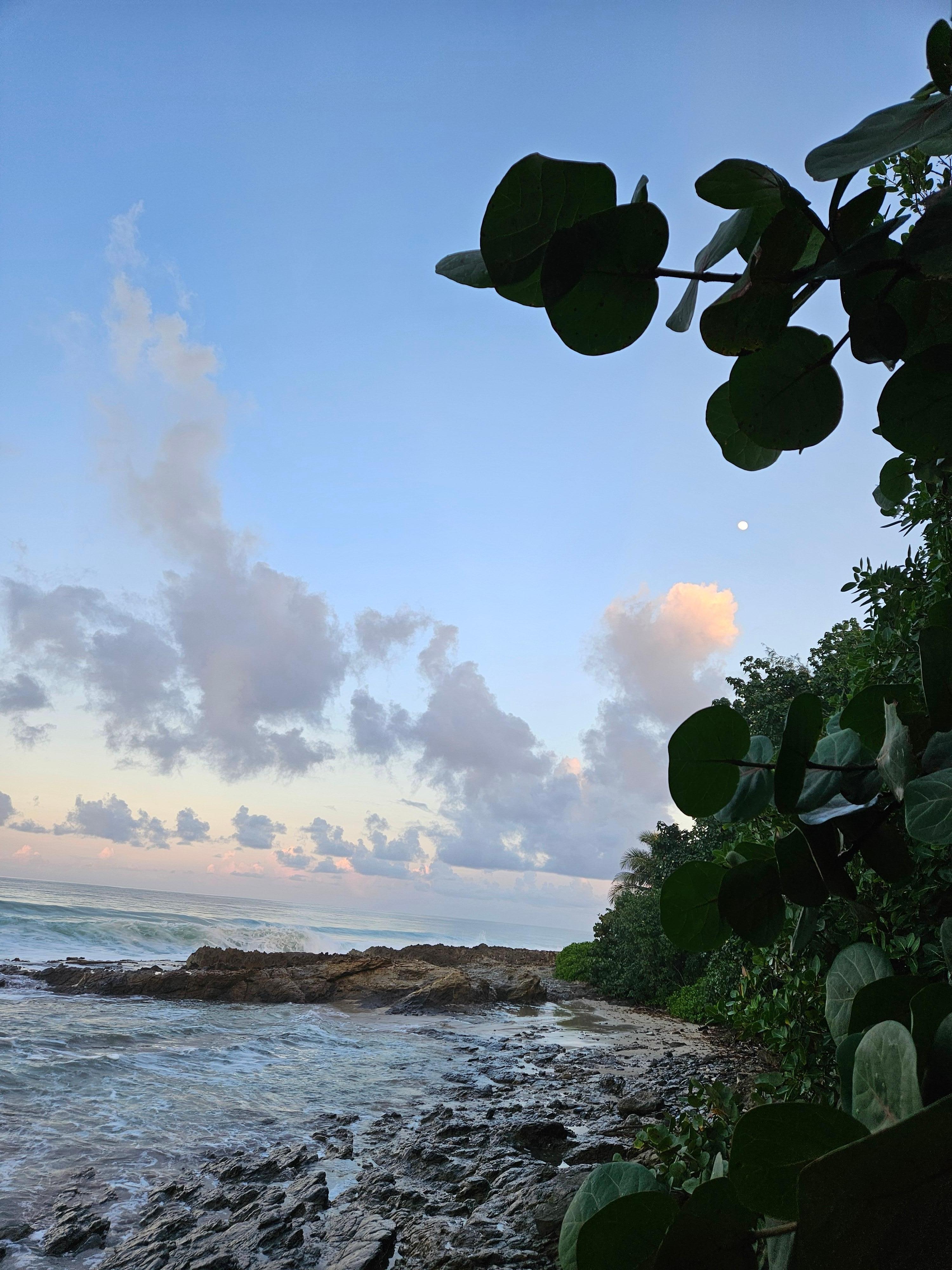 View to the west from the home's waterfront