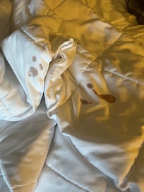 This is a picture of the bloody comforter. Very unsanitary