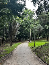 Parque Simón Bolivar is close and very walkable.