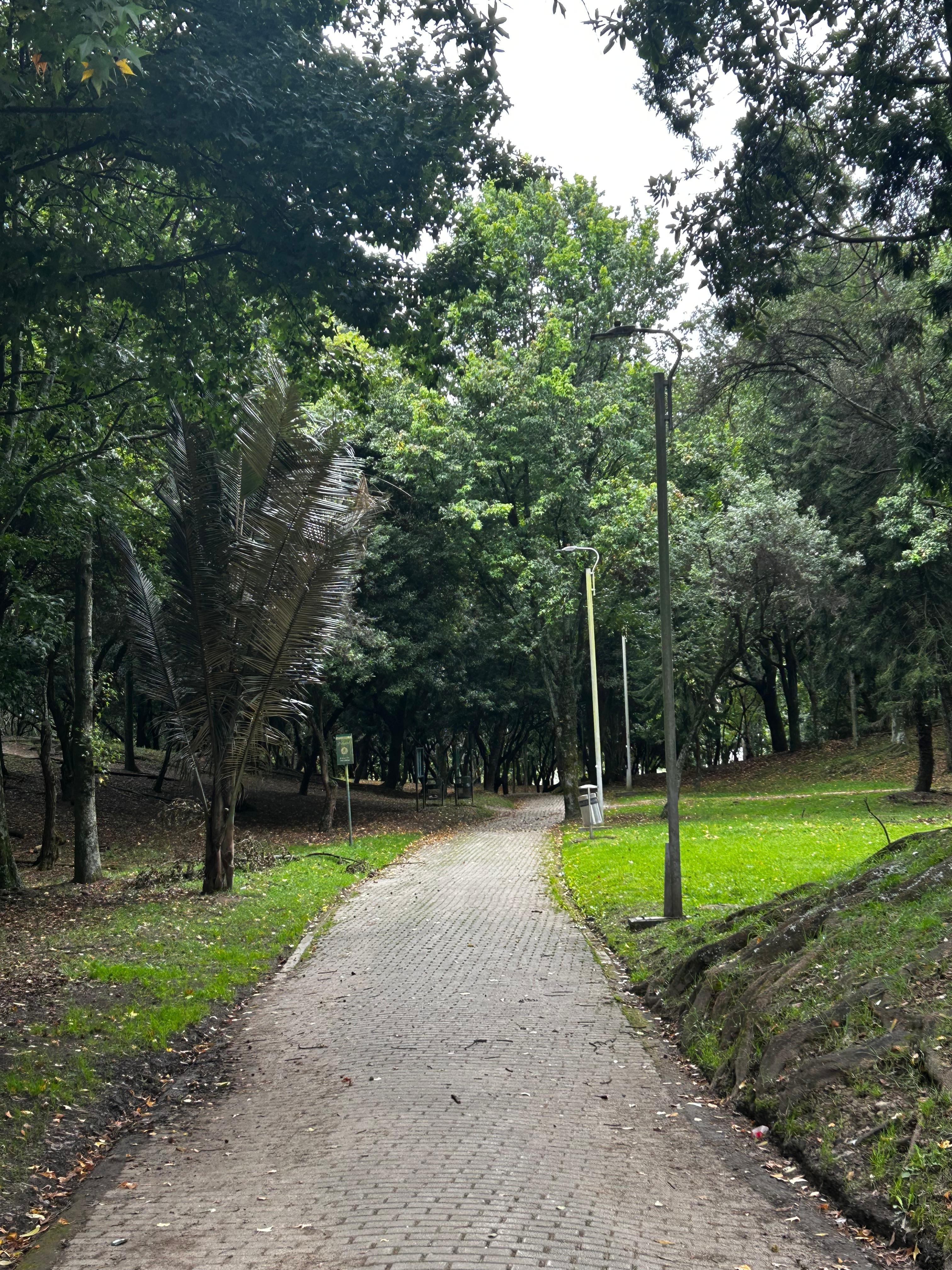 Parque Simón Bolivar is close and very walkable.