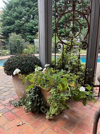 Beautiful plants everywhere!