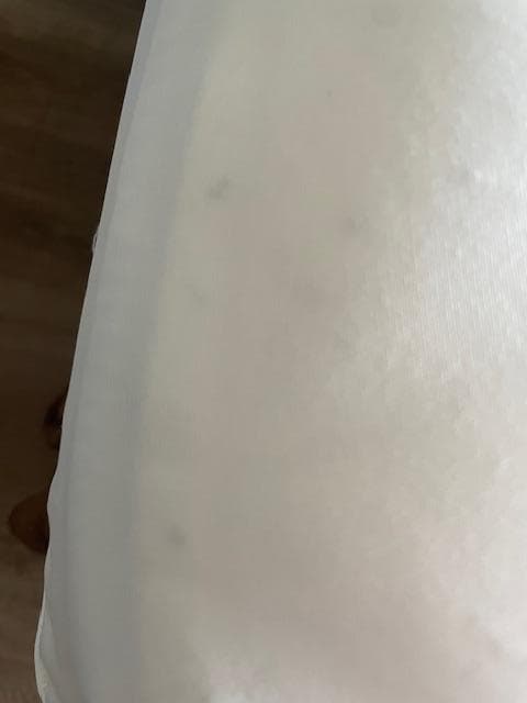 Visible dead bugs under the bedding