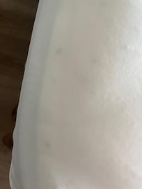 Visible dead bugs under the bedding