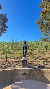 Vineyard, peaceful and walkable. Stunning views.