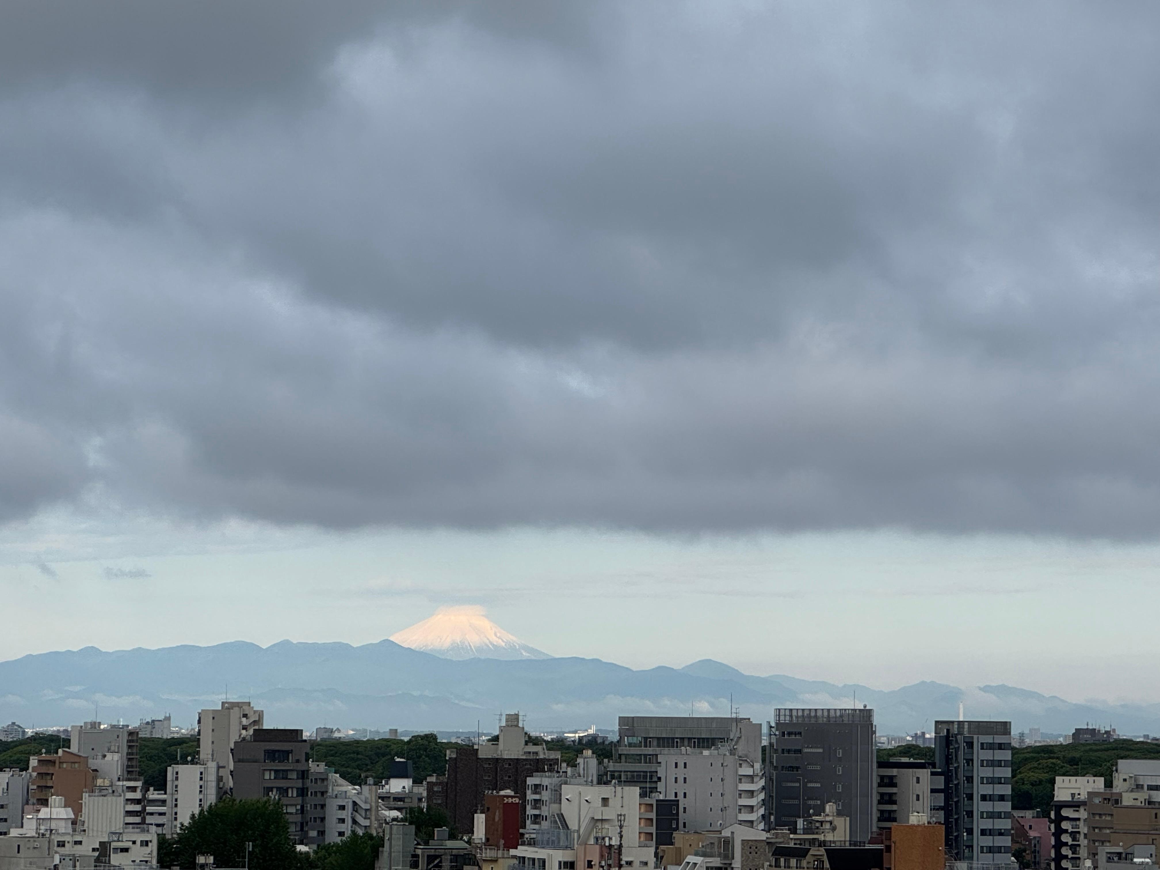 View to the west