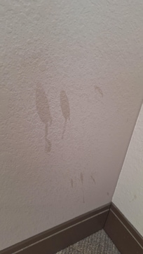 Bidy fluid stains?