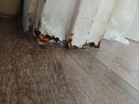 Bathroom doors