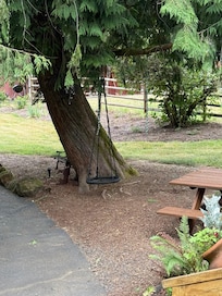 Tire swing. Plenty of of outdoor seating.