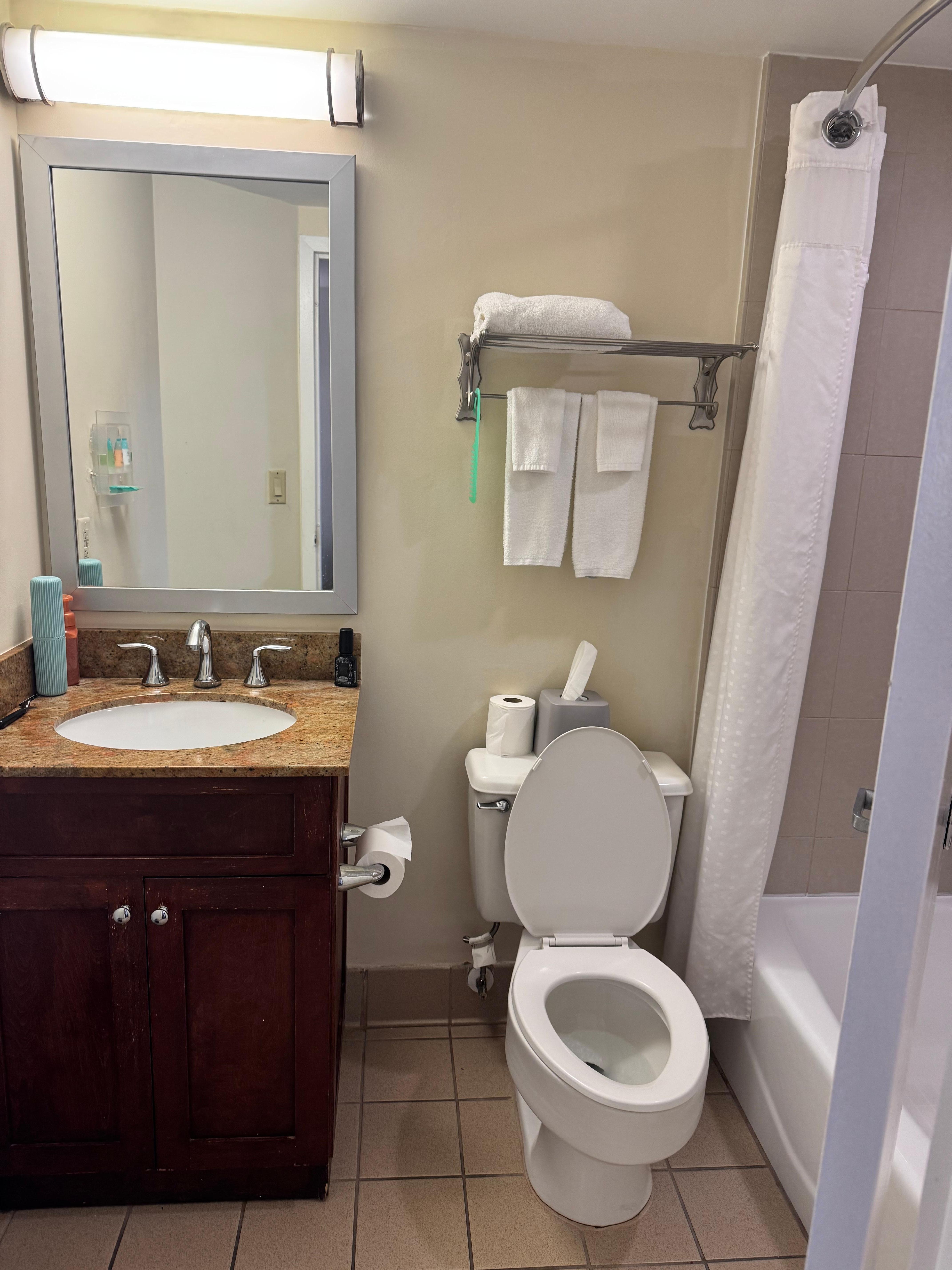 This was the very small king suite bathroom.