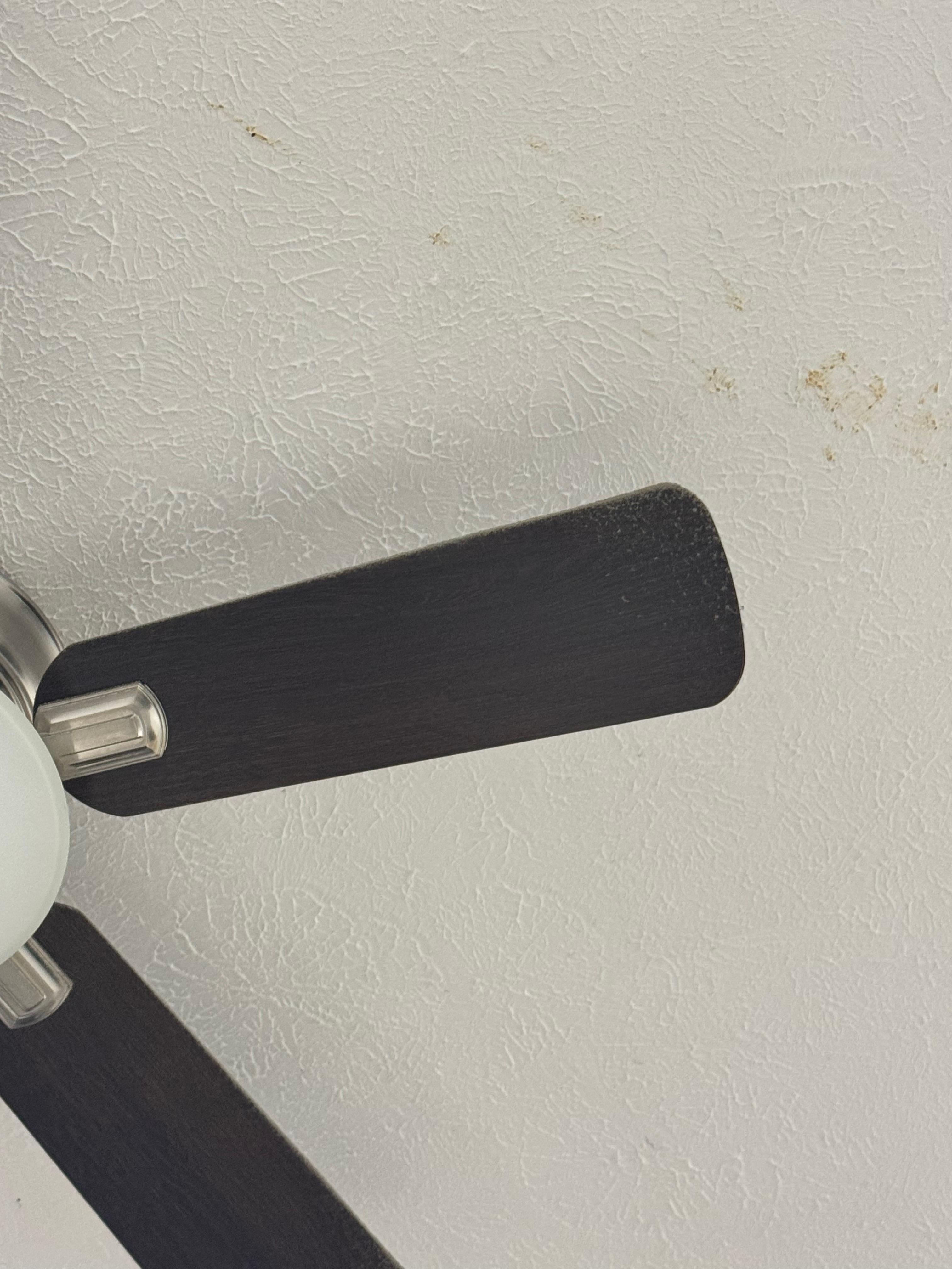 Please dust the ceiling fans 