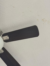 Please dust the ceiling fans