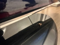 Our in room friend.