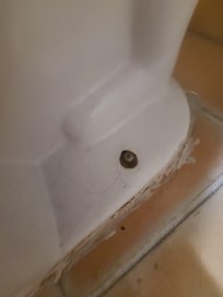 Hair and Pee