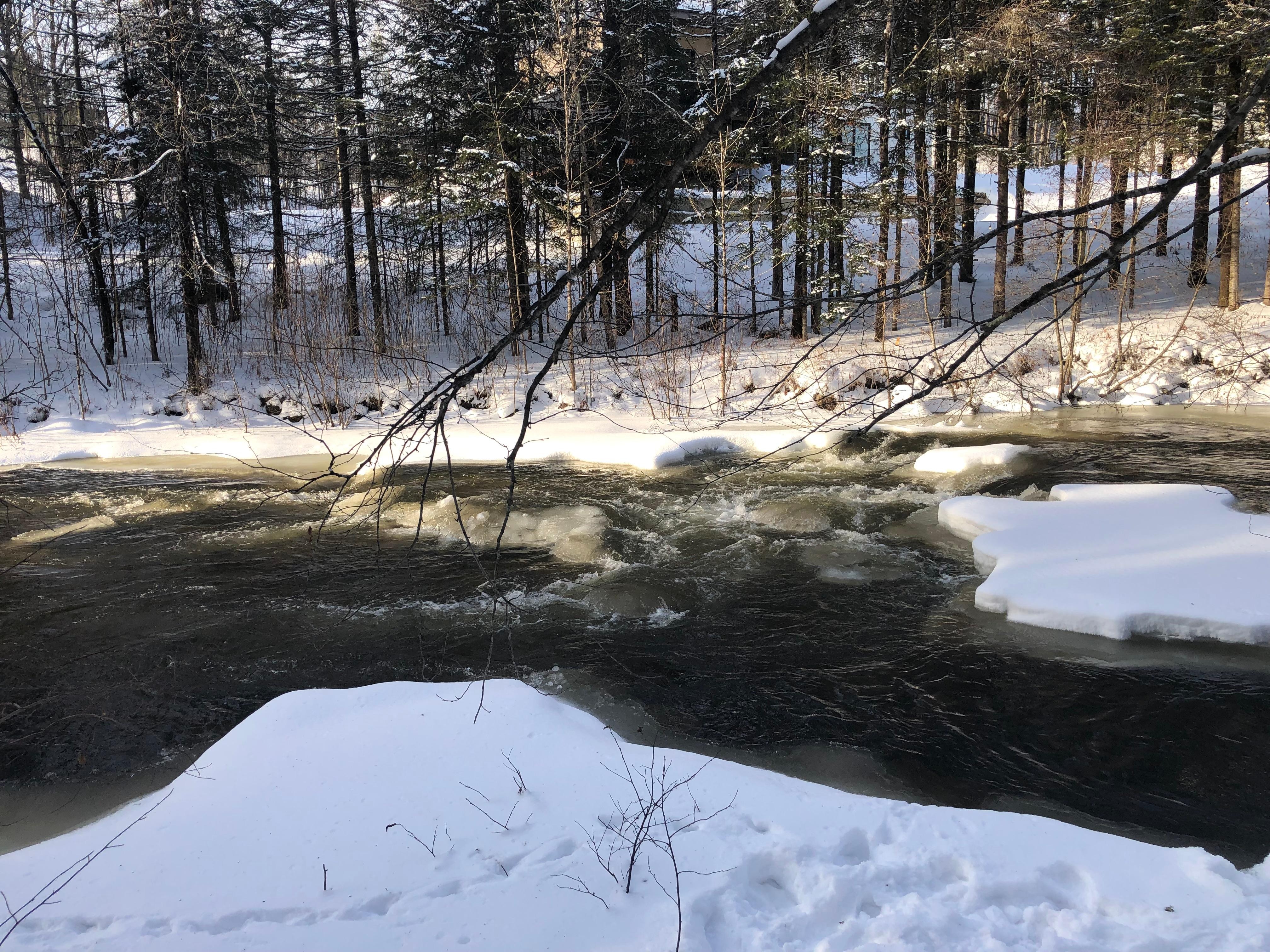 Magnifique promenade sur le bord de la rivière 