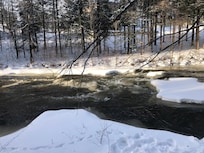 Magnifique promenade sur le bord de la rivière