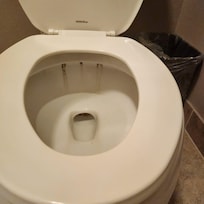 Unclean toilet