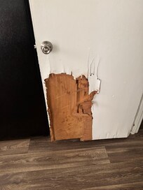Bathroom door