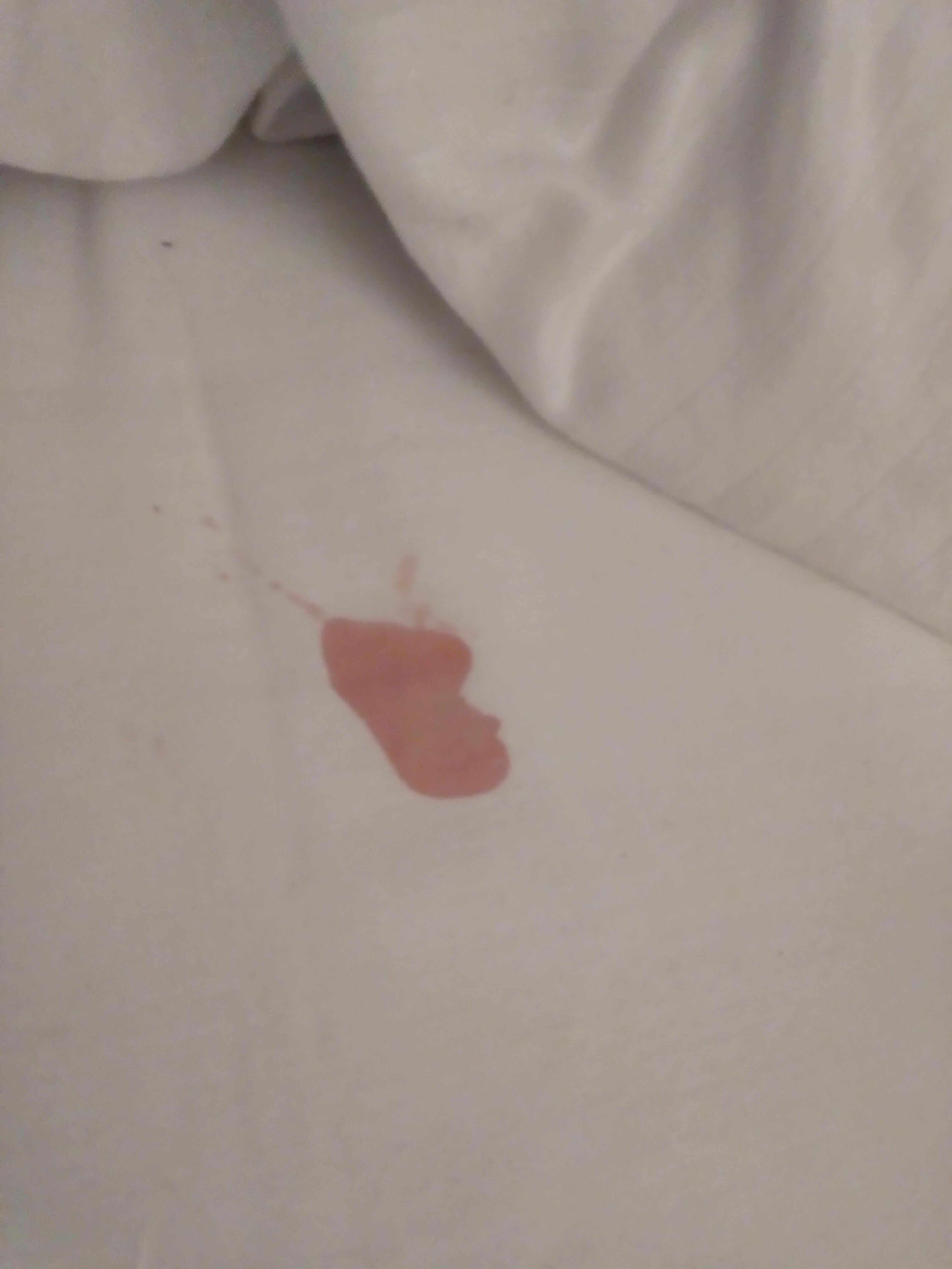 After the third day and requesting clean linens because there was a rotting smell we pulled back the covers and this dried blood spot/clot was discovered. We finally got clean linens but it was difficult to get over it. Im still grossed out