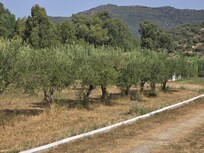 die Zufahrt zum Haus