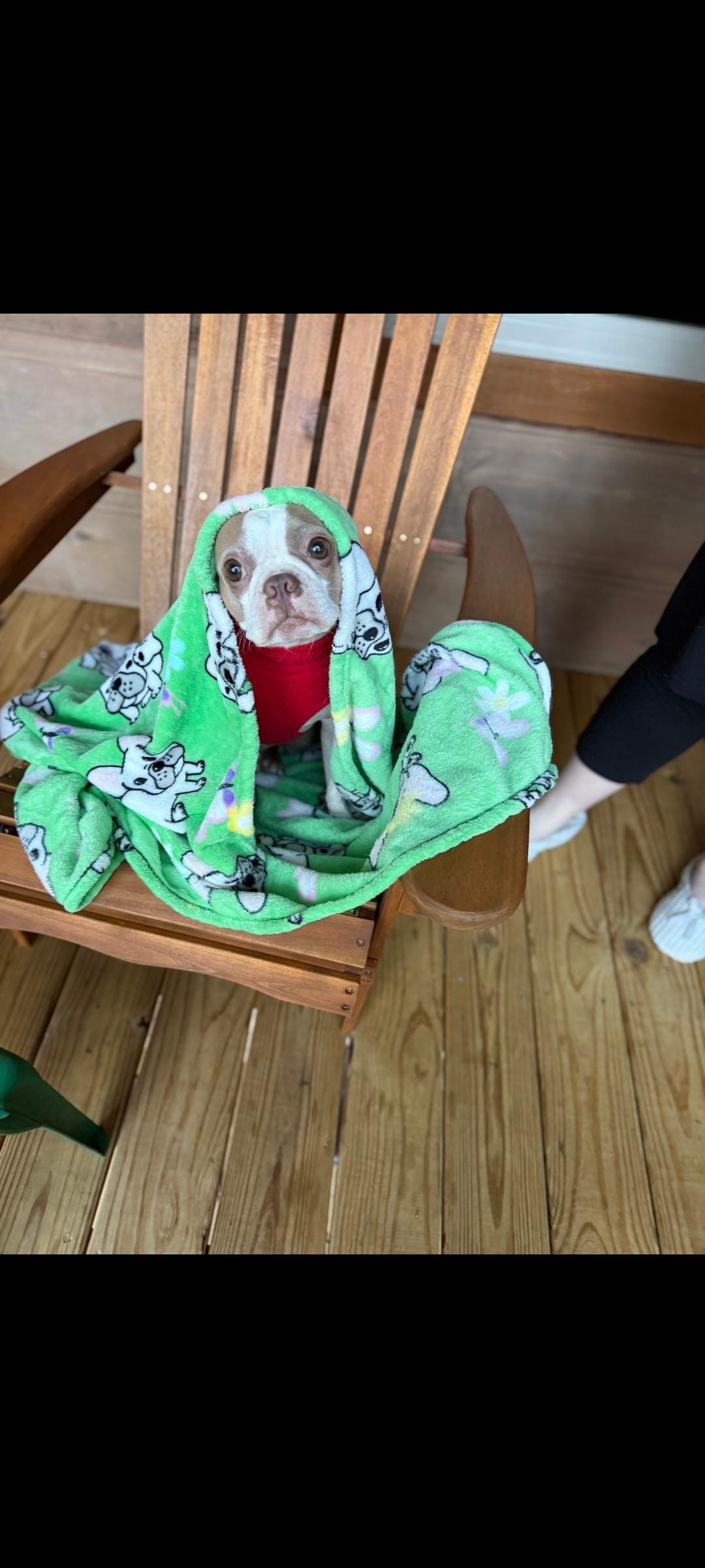 Rhett enjoying his vacation and taking in the views.