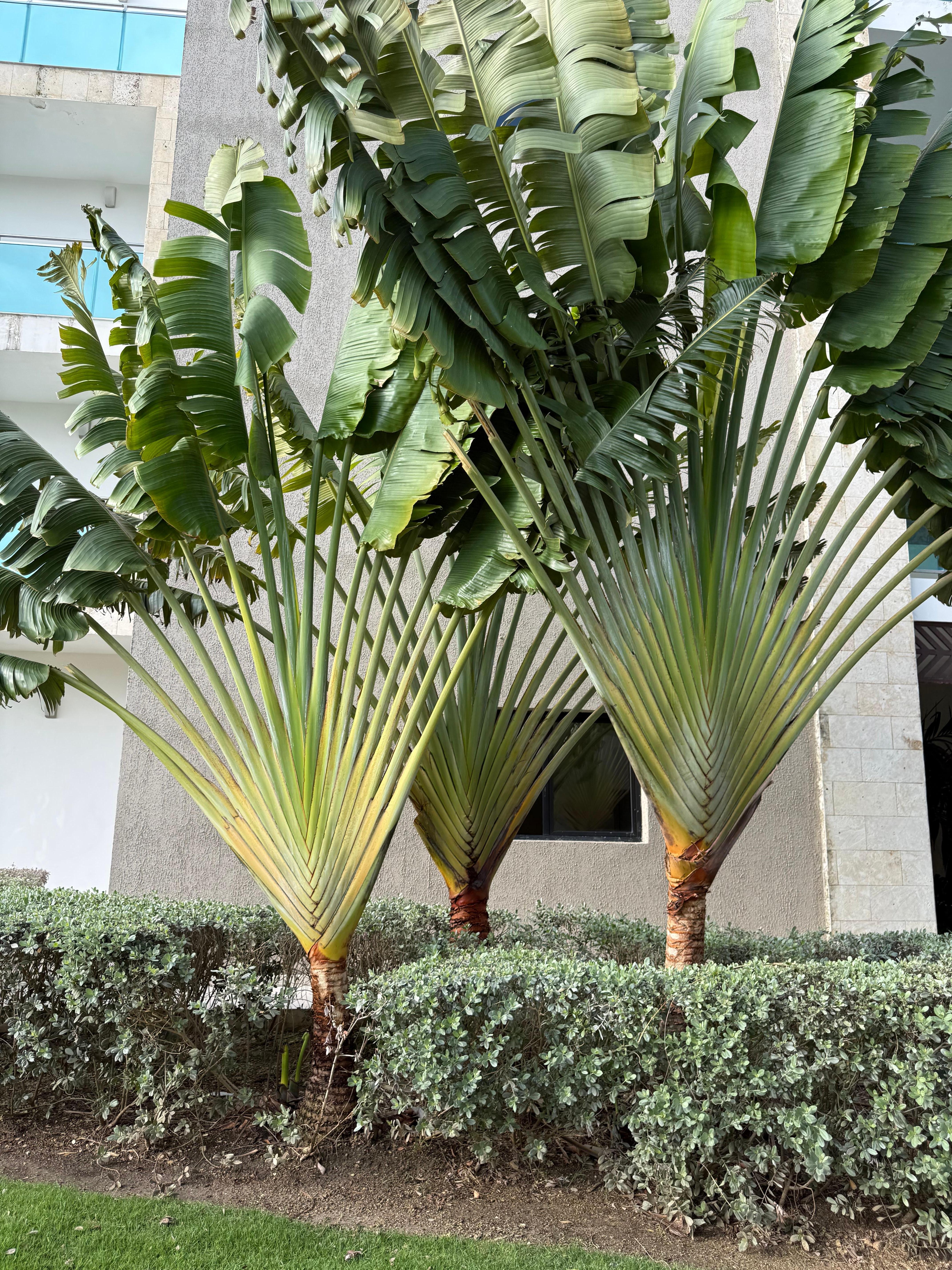 Gorgeous landscaping. 