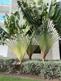 Gorgeous landscaping.