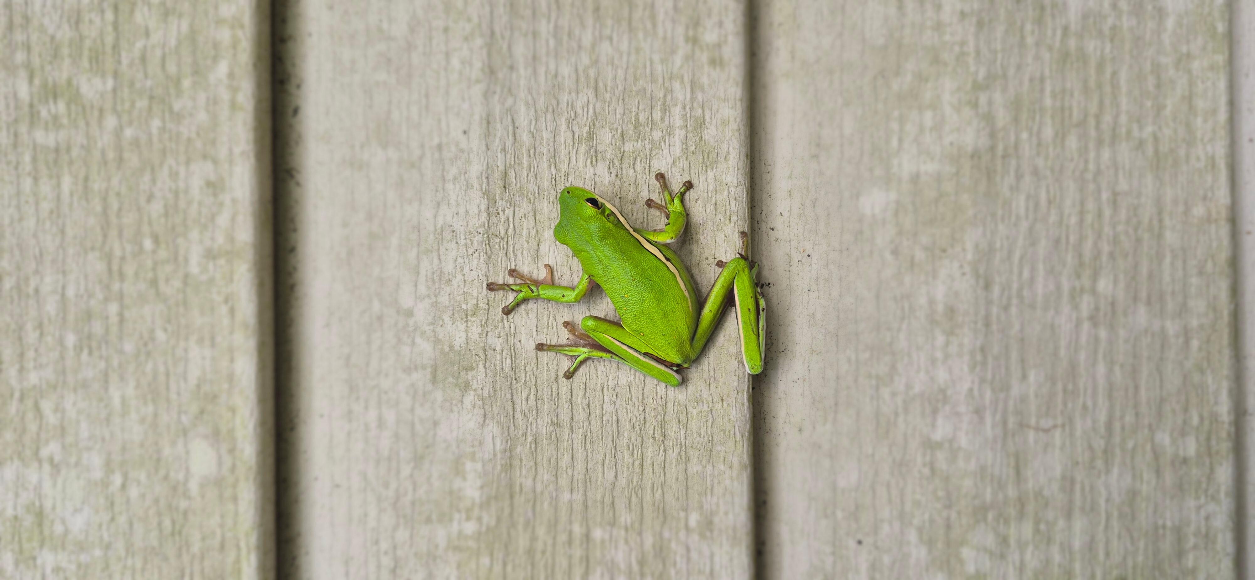 Our friend waited for us at the entrance to the cottage.