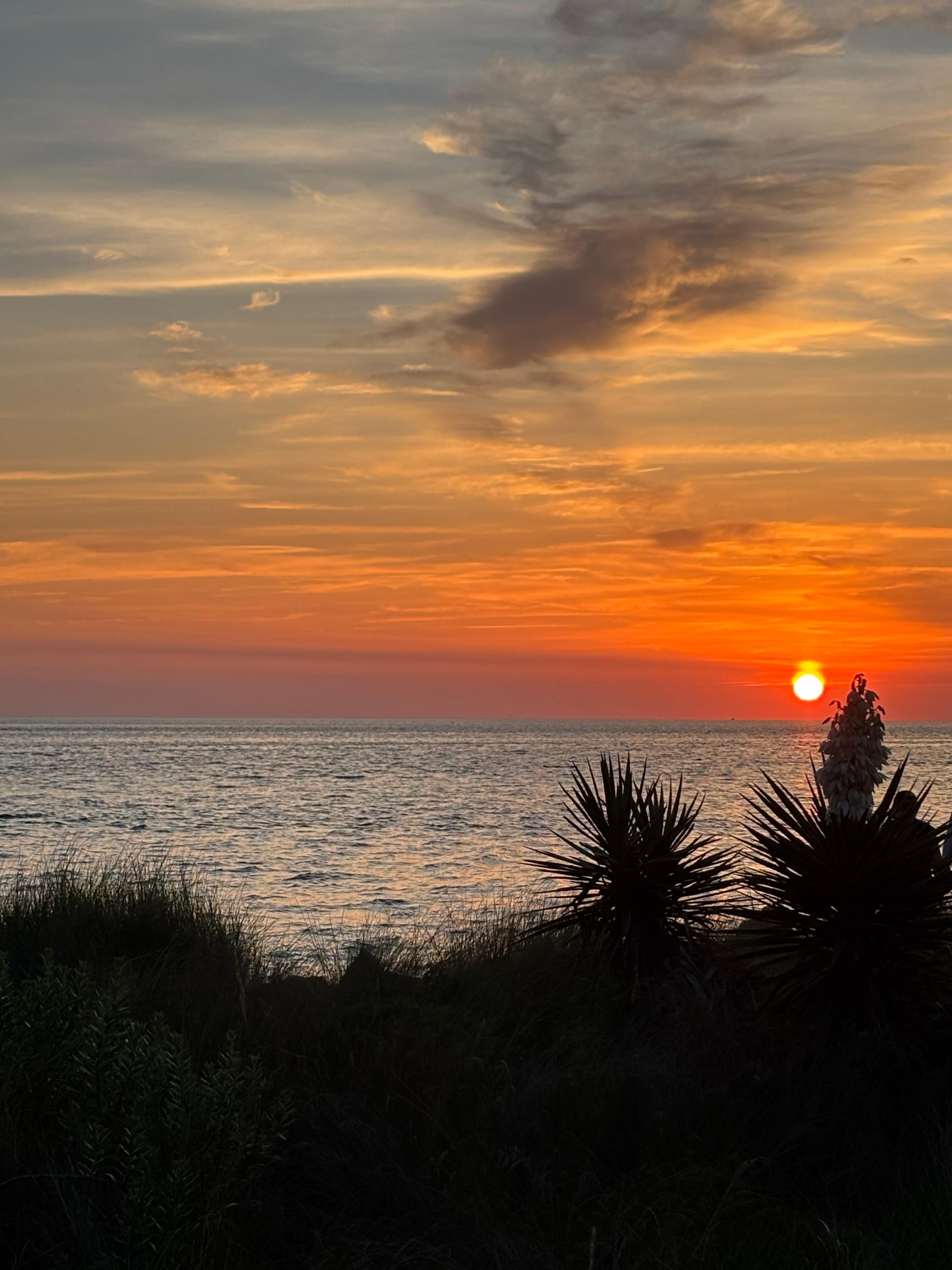 Springers Point sunset