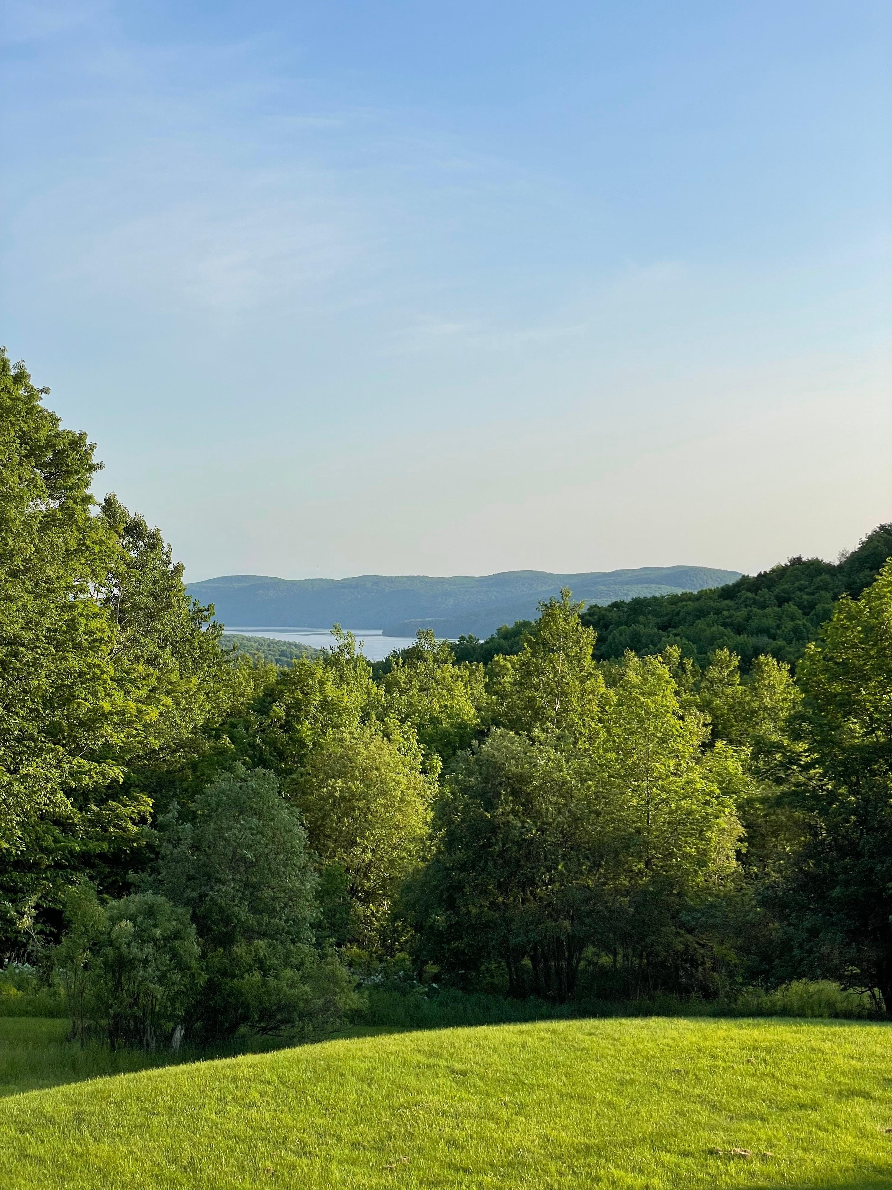 Views from the veranda. 