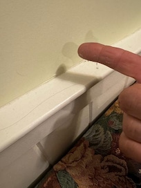 Dust and hair was piled up on surfaces in every room including headboard in bedroom. I have another ten pix/video of this sort of thing.