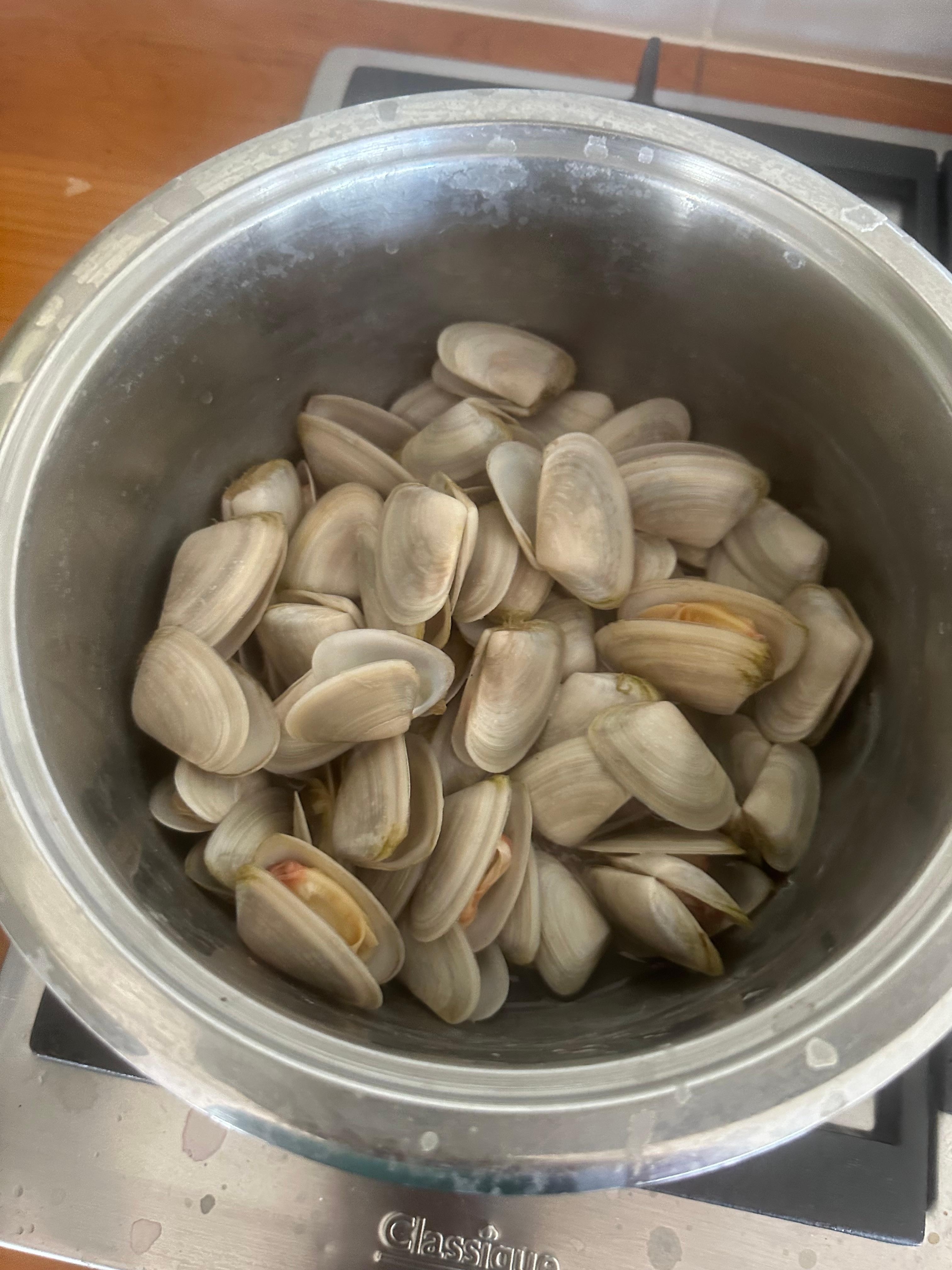 Lovely tuatua from the beach