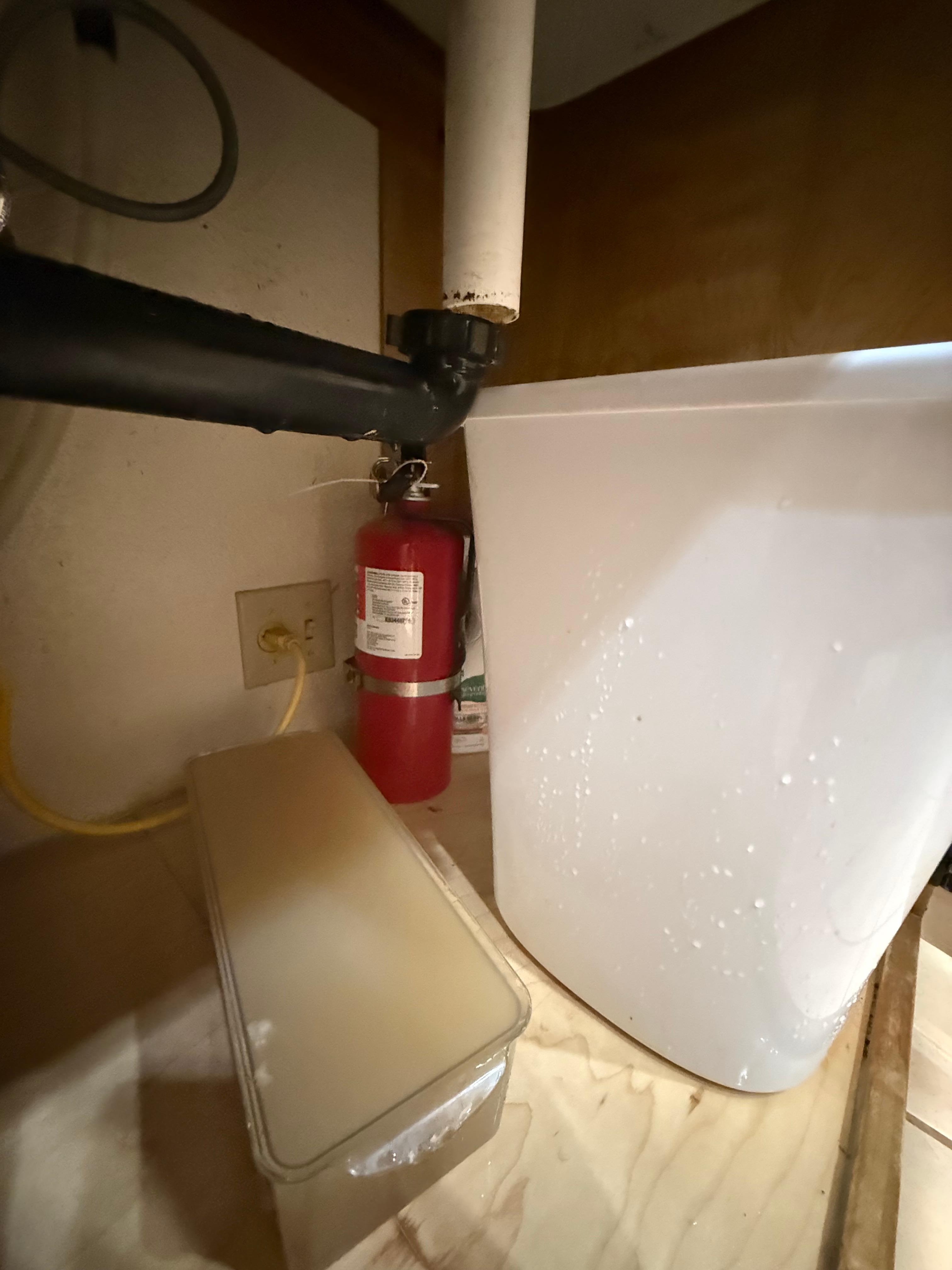 Kitchen sink leak