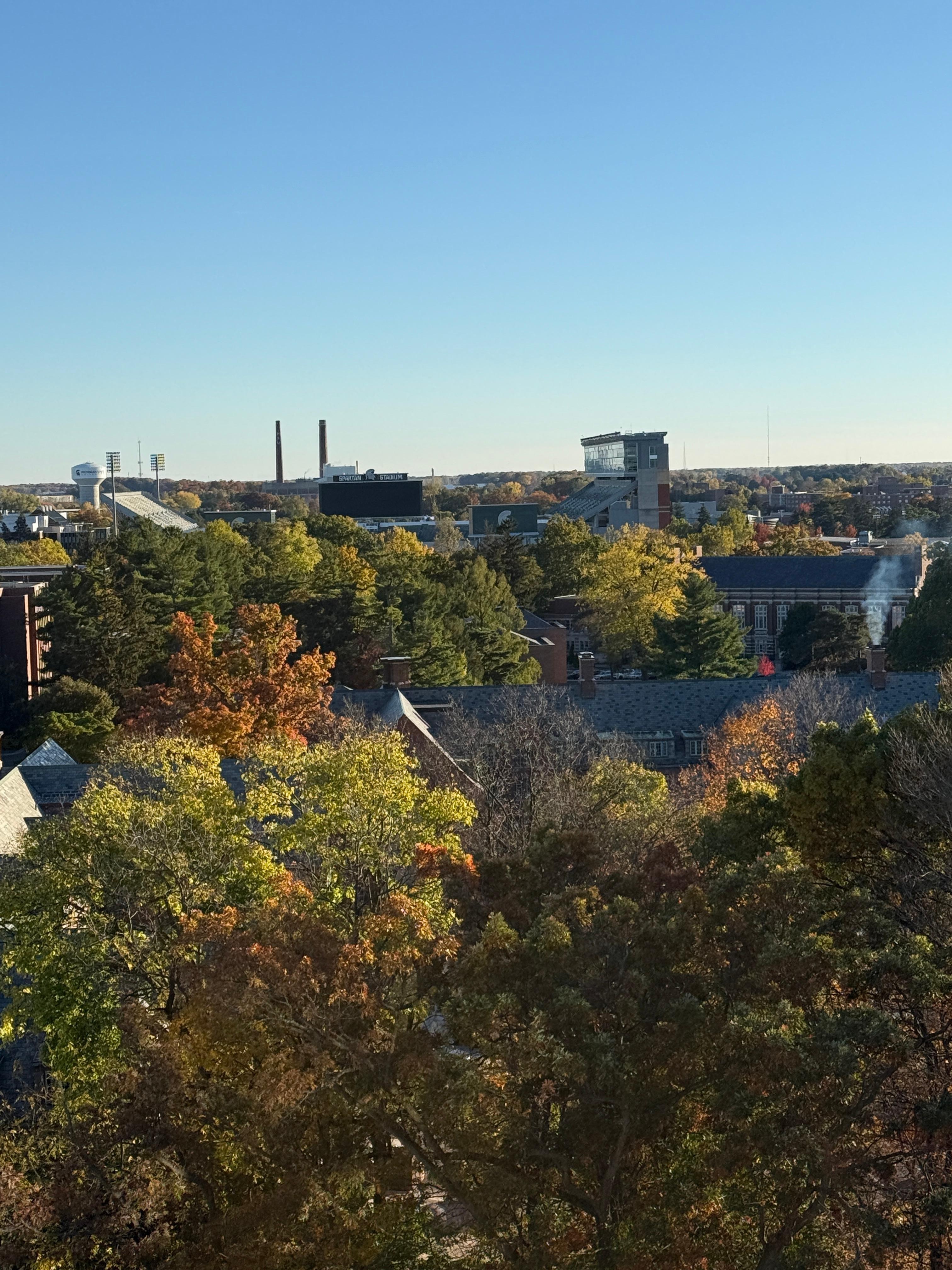 View from the roof top bar. 
