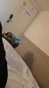 Kein Fenster zum Öffnen. Somit kein Sauerstoff.