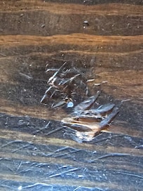 Nailpop on the stairs, have a picture of the other one