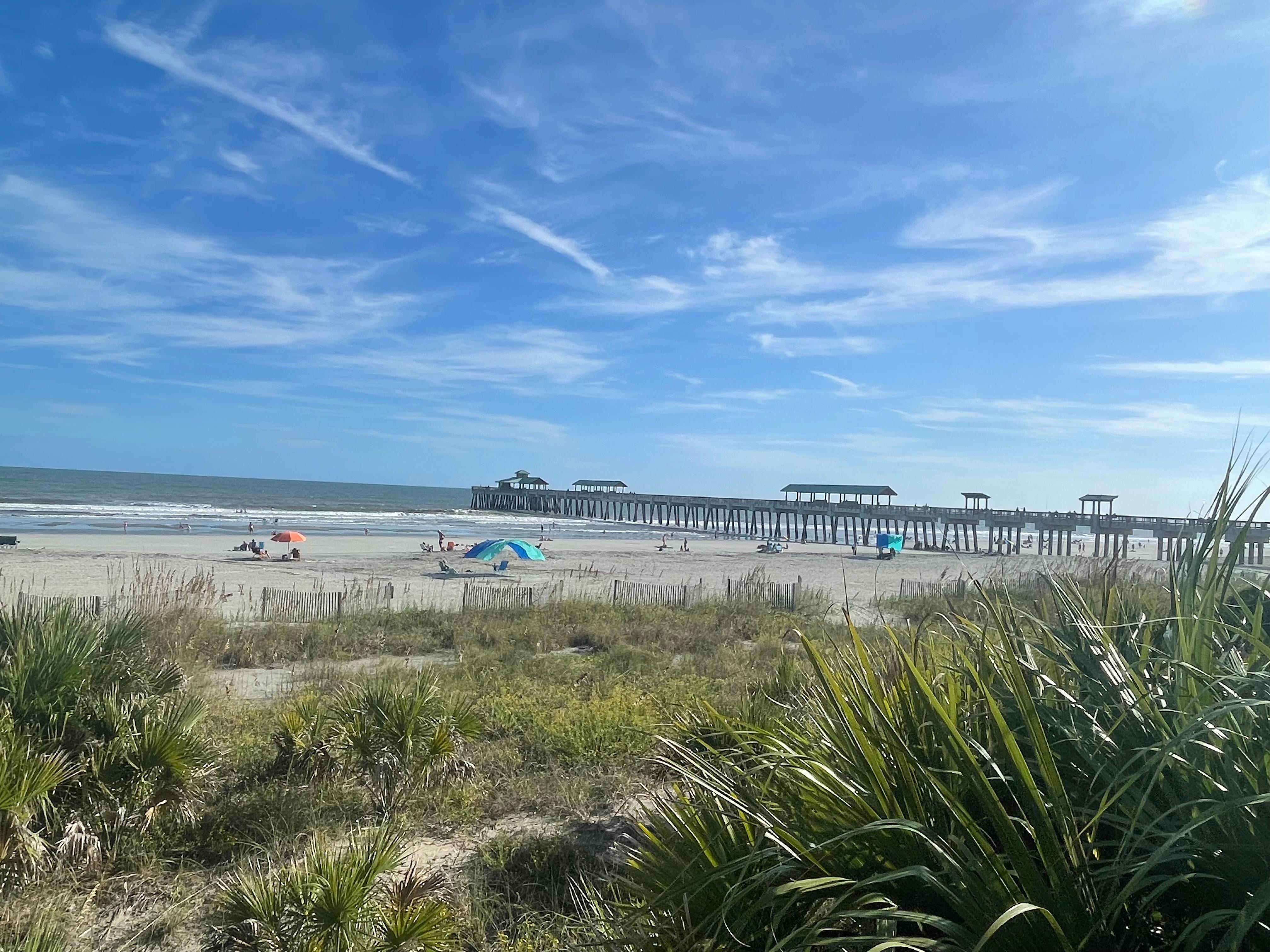 great place to relax and read a book