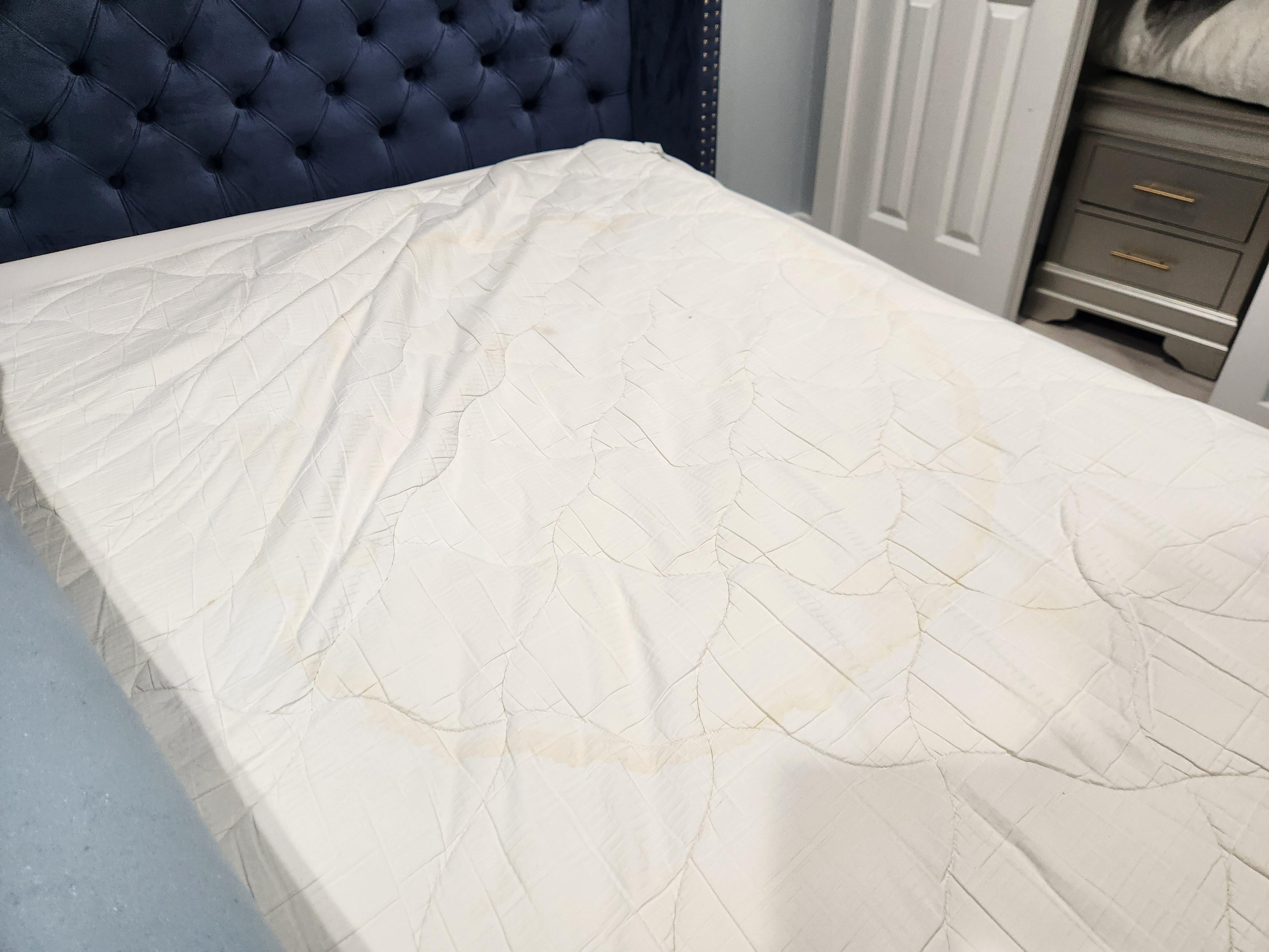 Primary Bedroom - Mattress protector