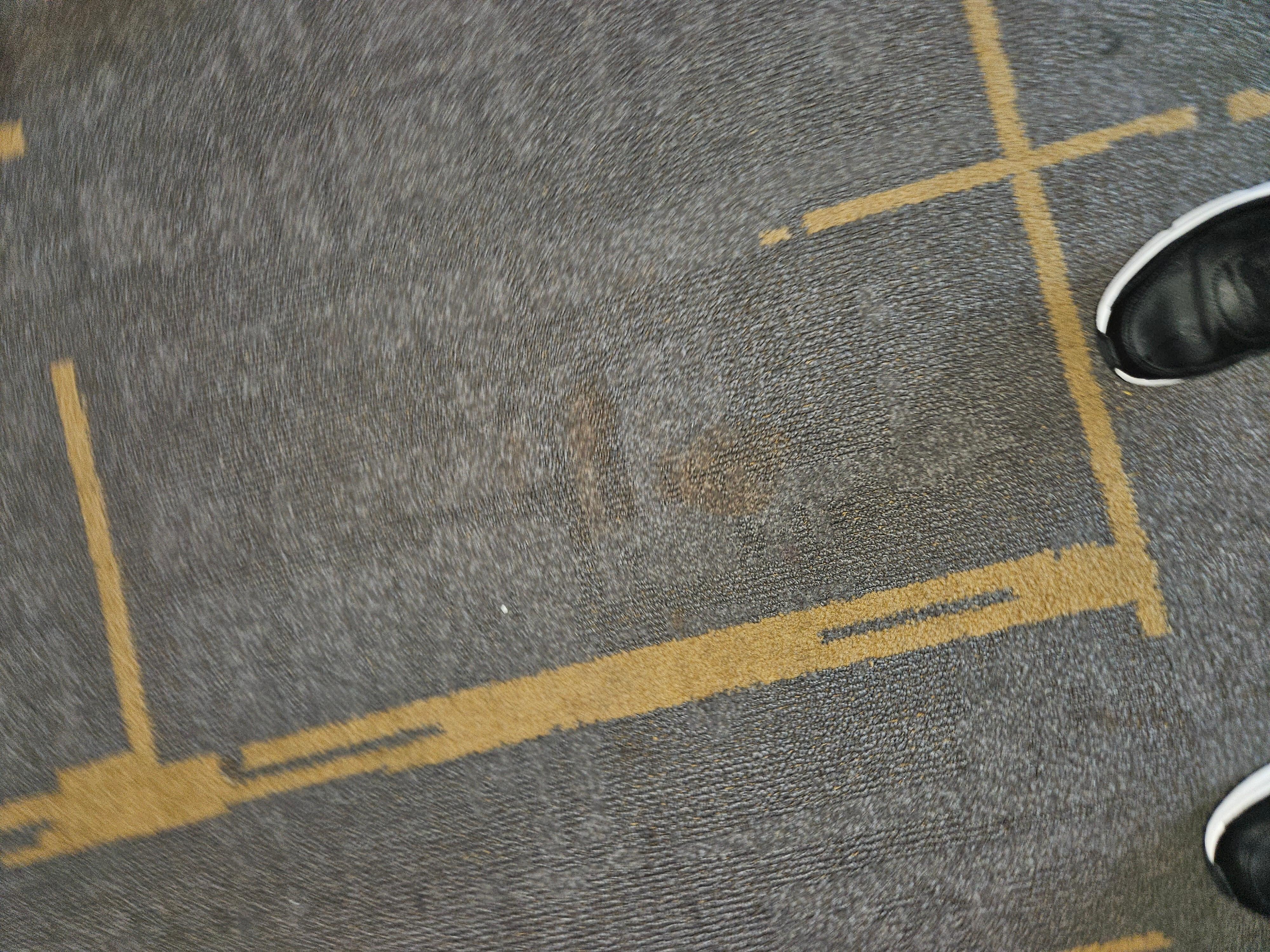 Carpet