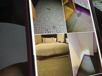 Alfombra sucias, cama vencida y mas cucarachas