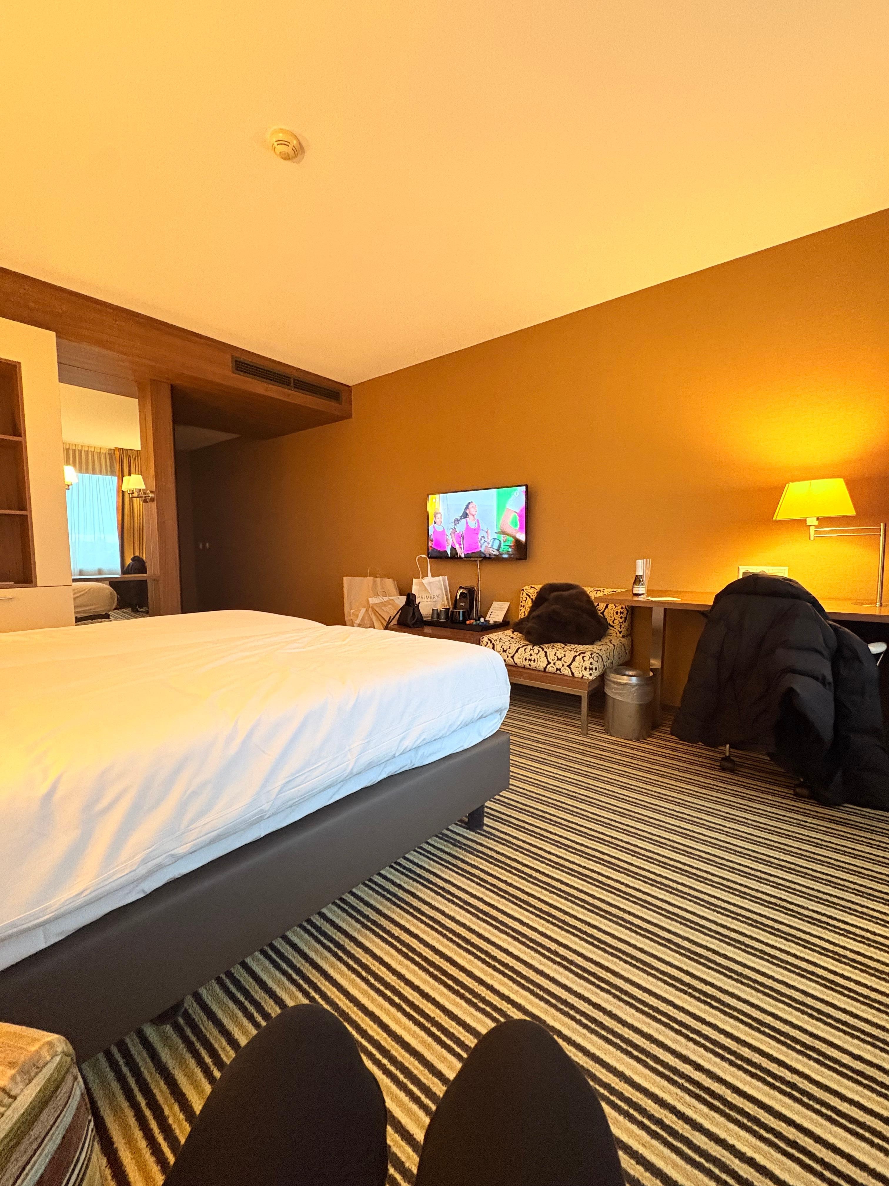 Chambre très propre et très spacieuse. Mention spéciale pour la salle de bain avec une douche et une baignoire et c’est vraiment génial. 
La literie était parfaite. Juste petite remarque : il fait un peu froid dans les chambres. Mais sinon parfait 